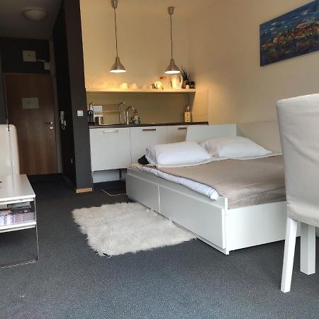 Studio Apartment "Iris" Ptuj Exteriér fotografie